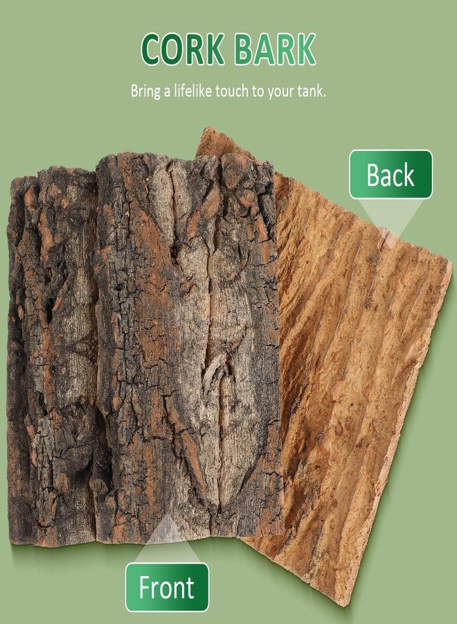 SHINEOFI 4Pcs Reptile Cork Bark Terrarium Background Natural Tree Bark Tank Decor Aquarium Decoration for Bearded Dragons Geckos Lizards Frogs, 5.9X5.9In - Image 4